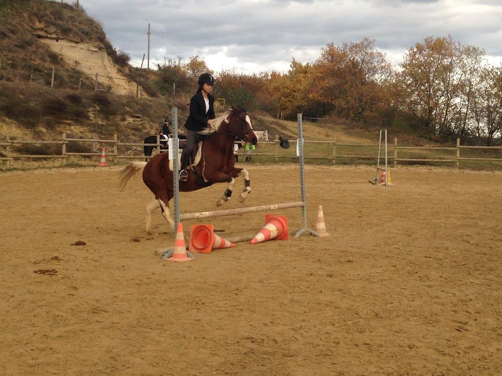 Saut d'obstale