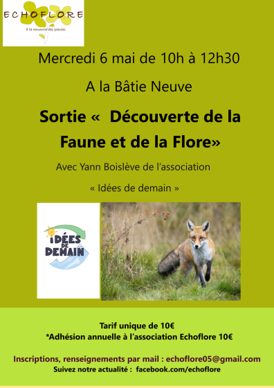 Sortie Découverte de la faune et de la flore