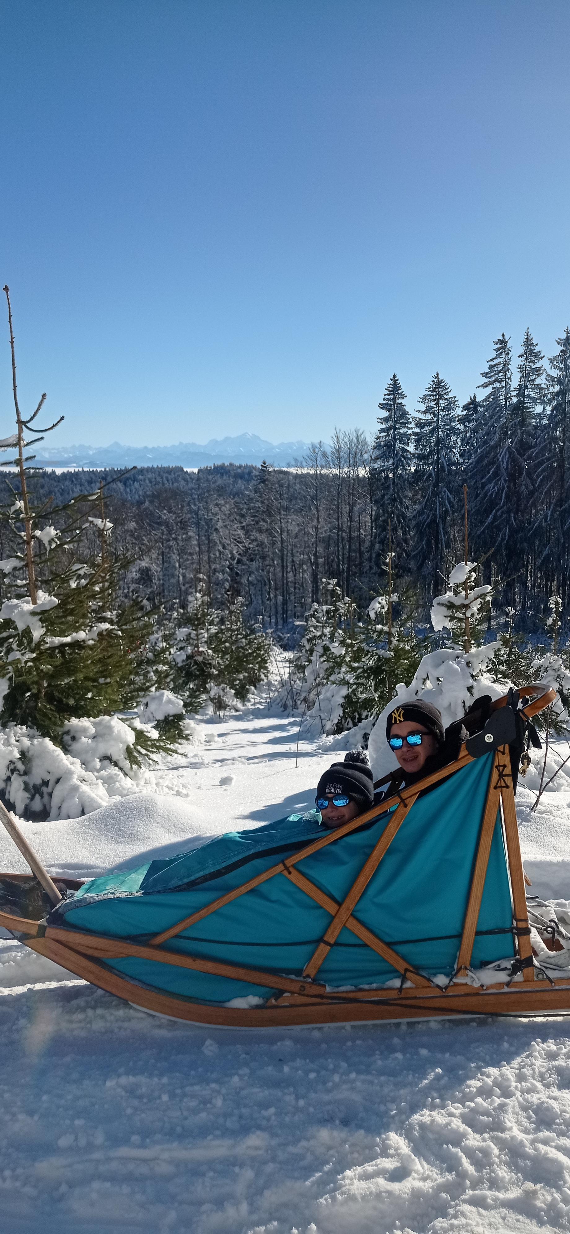 Bapt�me en tra�neau � chiens avec Symbiose chien polaire