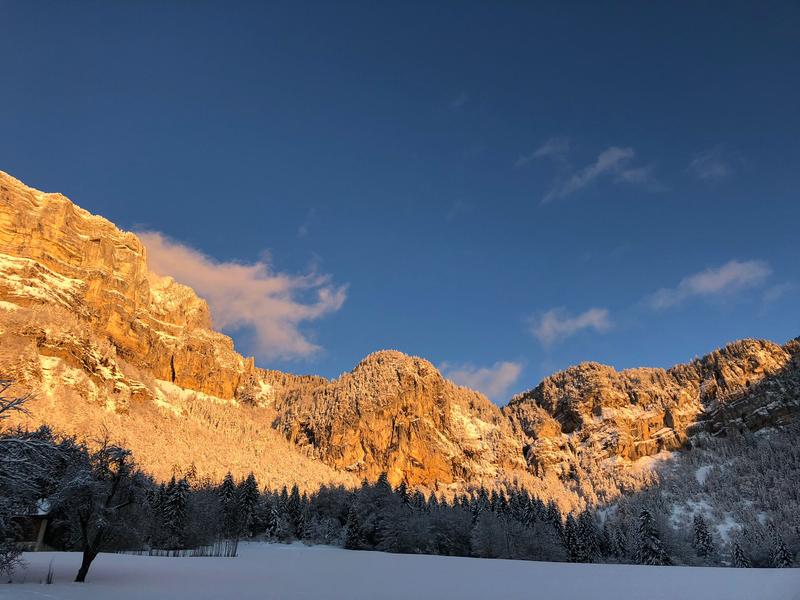 Gîte La Ferme de l'Ours - Entremont Le Vieux