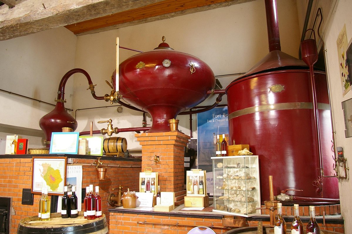 Visite Dégustation au Chai du Rouissoir