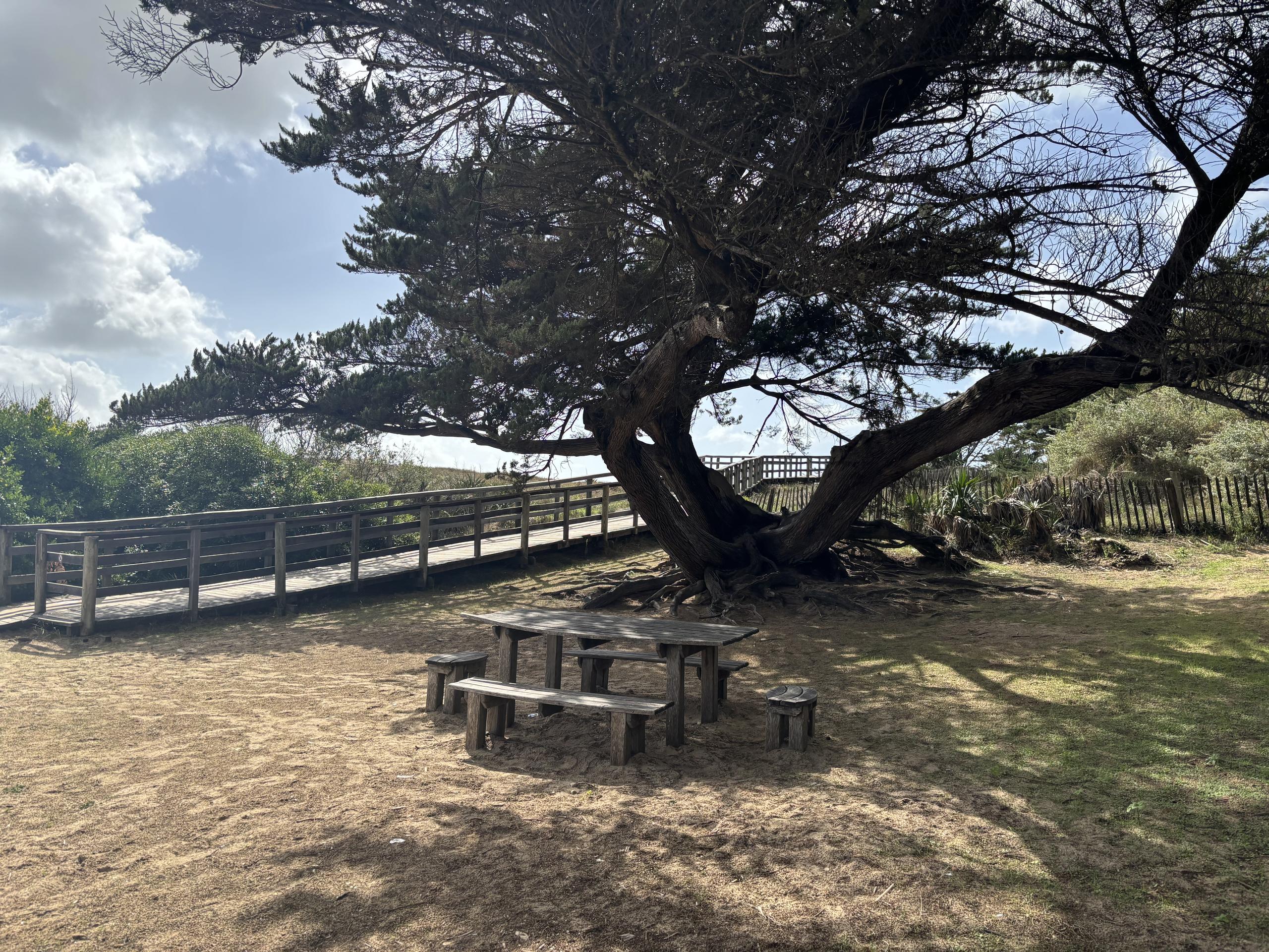 Aire de pique-nique de la Plage des Gollandières