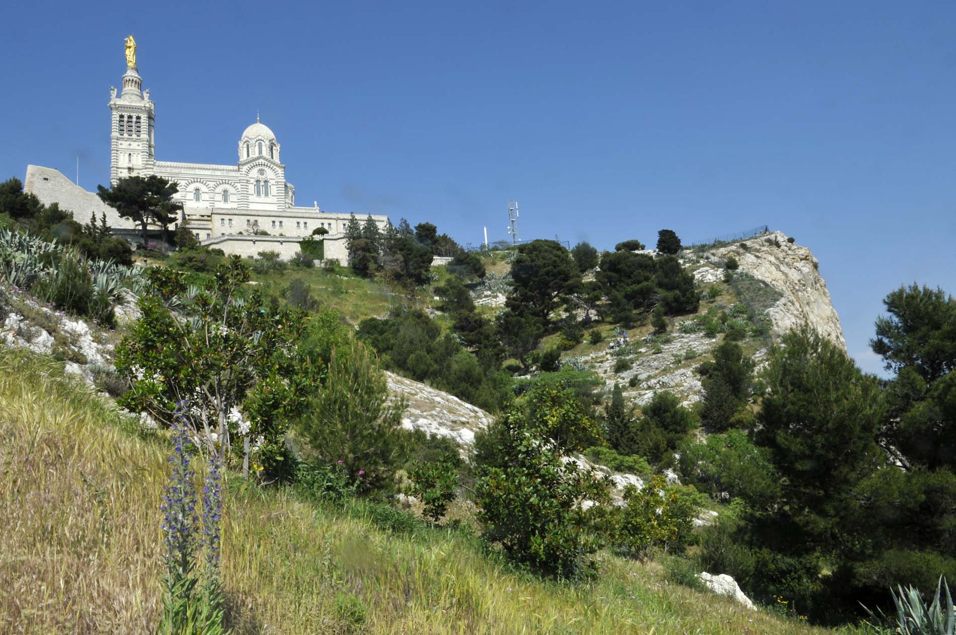 Jardin du Bois Sacré