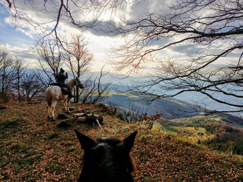 Tour des Coulmes à cheval - 2 jours_Presles