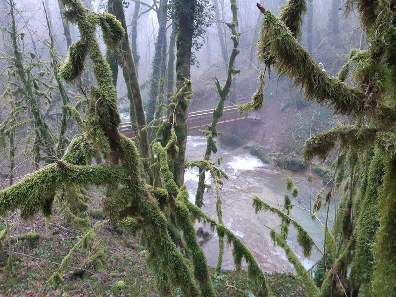 Reculée de Corveissiat