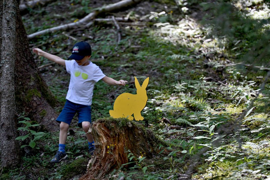 Parcours Cache-cache des Animaux