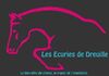 Les écuries de Dreuille Logo Ⓒ Facebook écuries de Dreuille - 2020