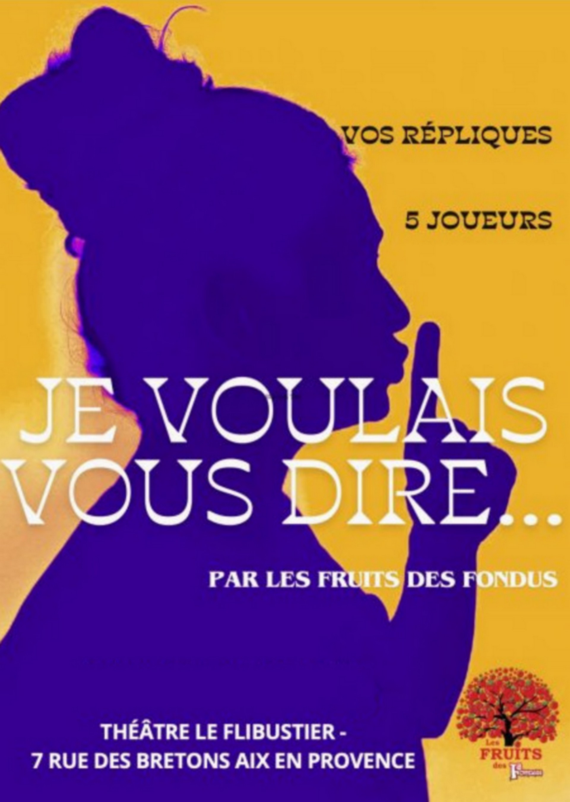 Spectacle - Je voulais vous dire