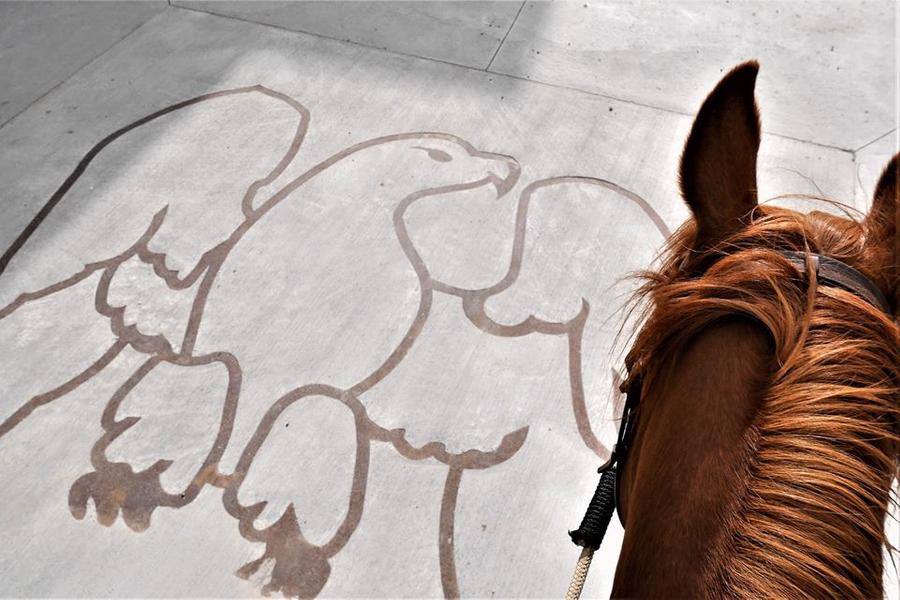 Route Napoleon à cheval