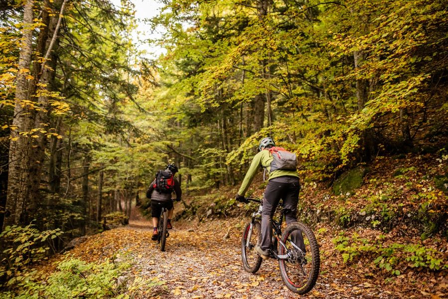 Balade en VTTAE sur les routes forestières des Balcons Est