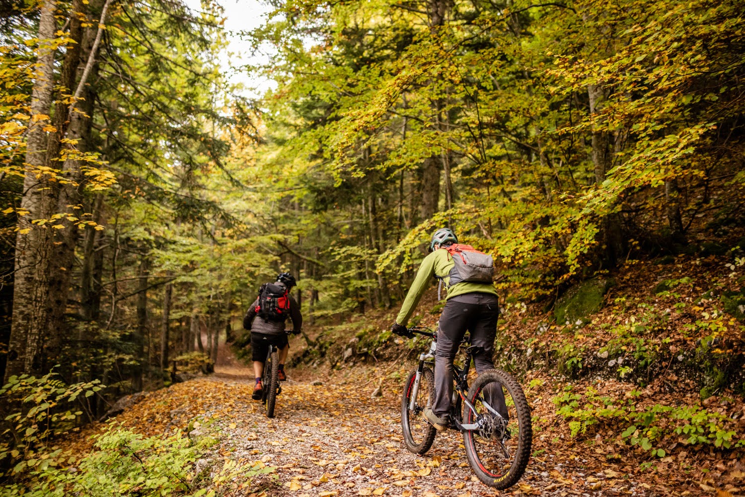 Balade en VTTAE sur les routes forestières des Balcons Est