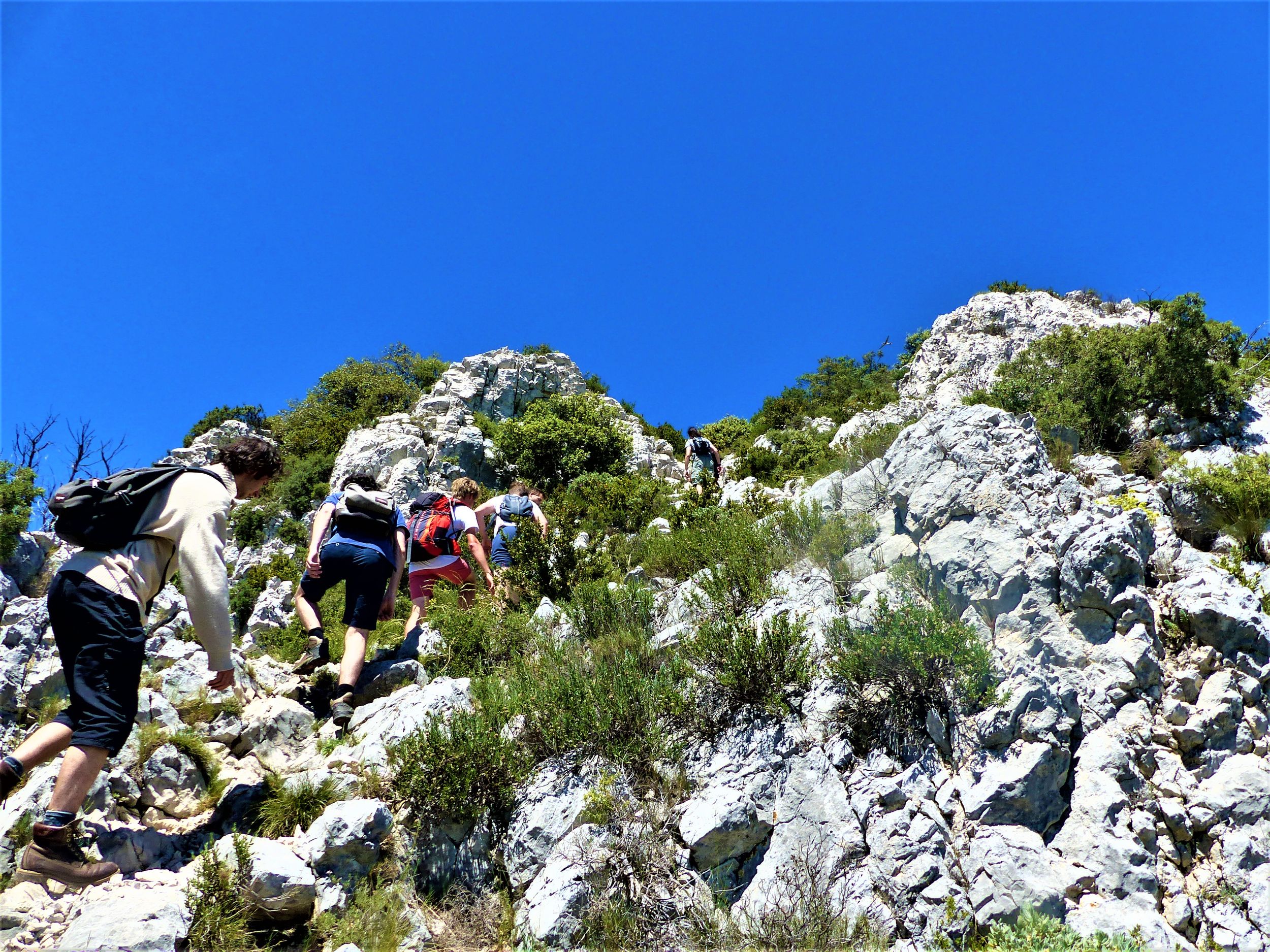 SAINT-RÉMY-DE-PROVENCE - La crête des Alpilles