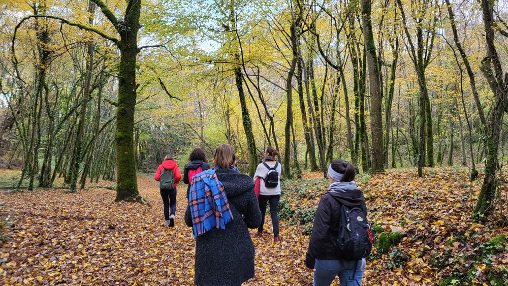 Les bois du Serverin