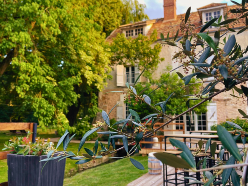 Façade-arrière-moulin-de-fourcon