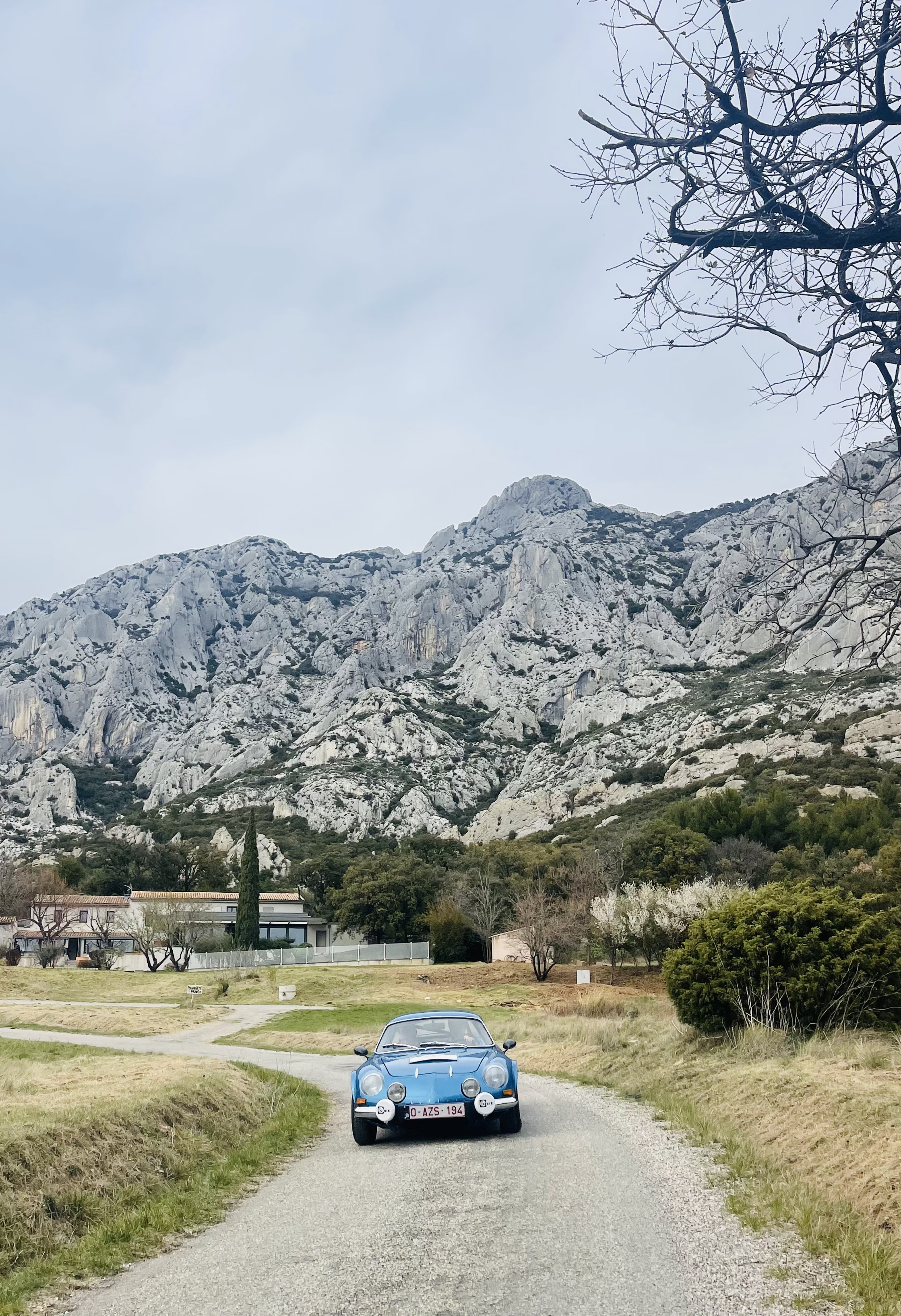 Le Relais de Saint-Ser - Restaurant, Puyloubier - photo 6