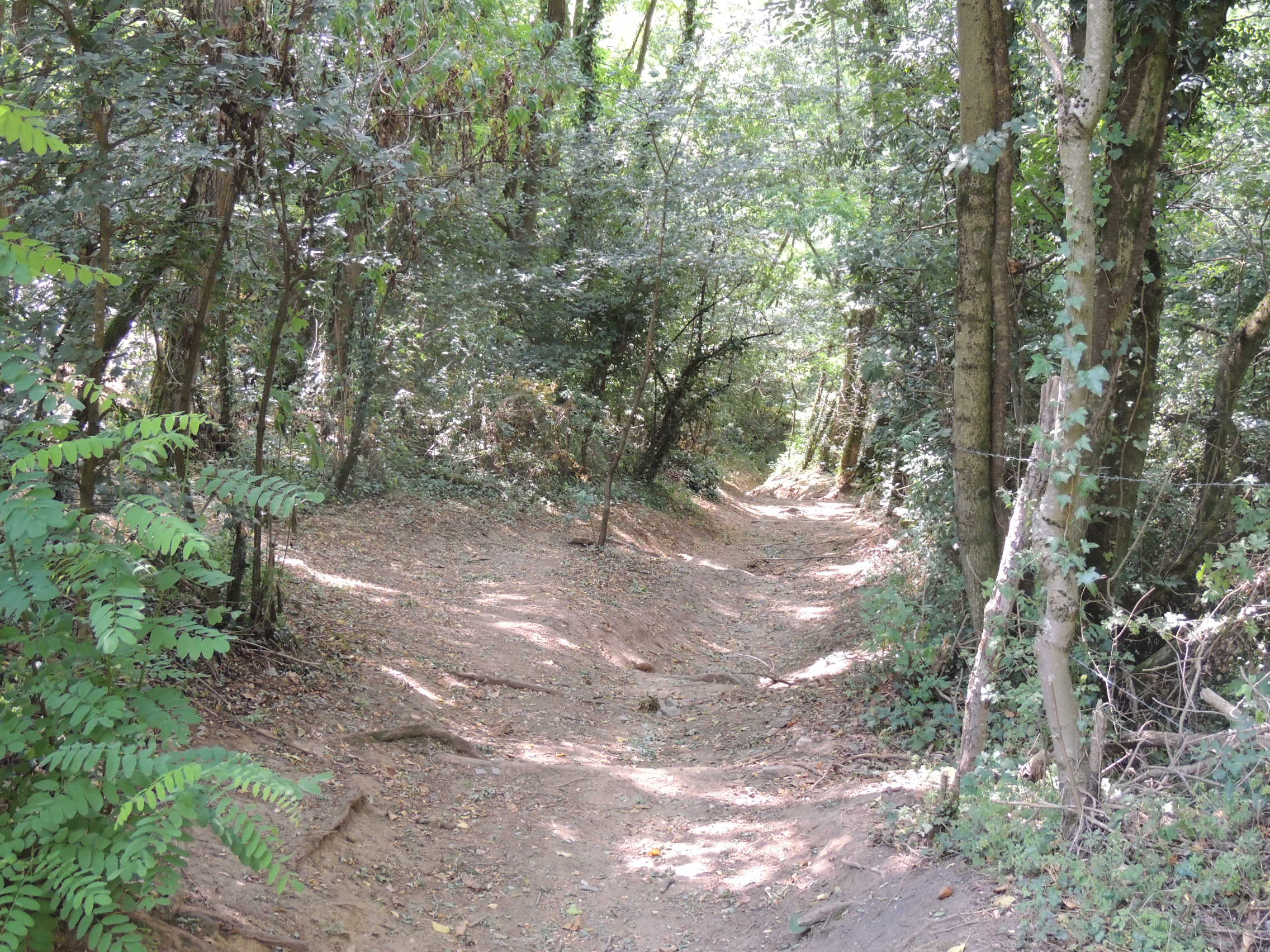 Chemin
