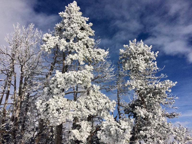Regards d’Hiver : faune, neige, paysages_Gap - © Corinne Stanzer