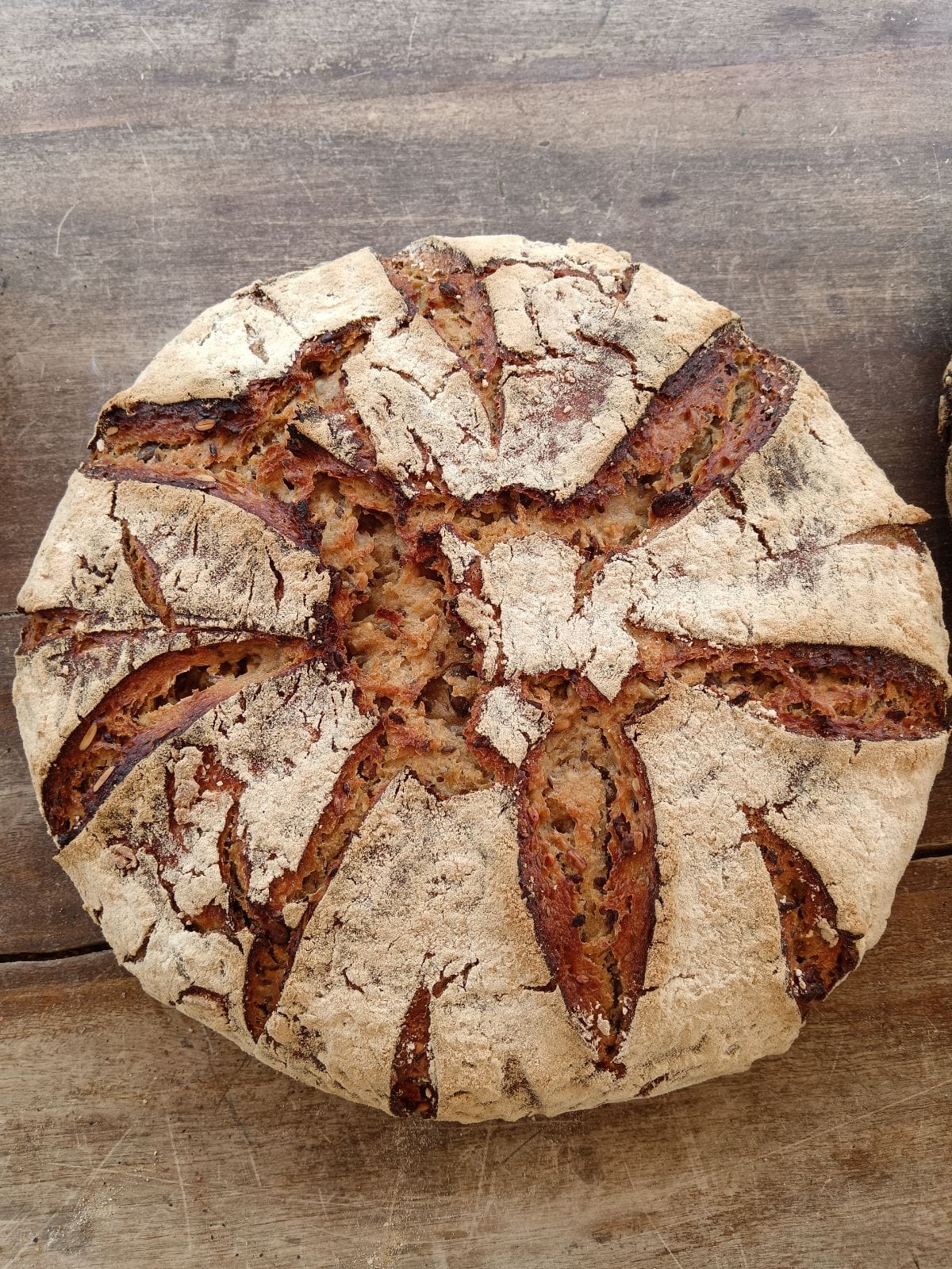 Pain Sauvage_Monestier-de-Clermont