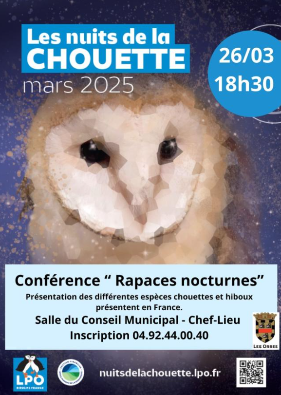 Nuits de la Chouette : conférence "Les rapaces nocturnes"_Les Orres