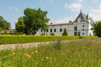 A la découverte de la Route des Vins Forez-Roannais en Loire Volcanique