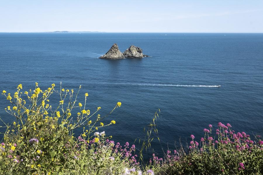 Massif du cap Sicié_Six-Fours-les-Plages