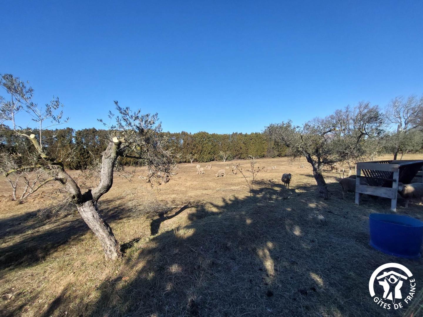 Mas Petite Provence - Lou Pastre, Aureille - photo 14