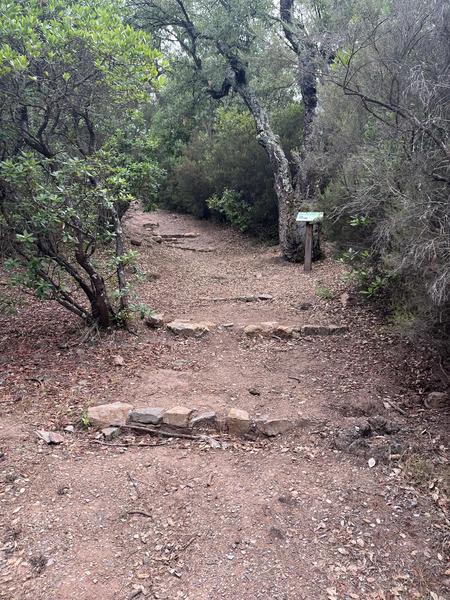 Sentier botanique de l'arboretum de Pierrefeu du Var