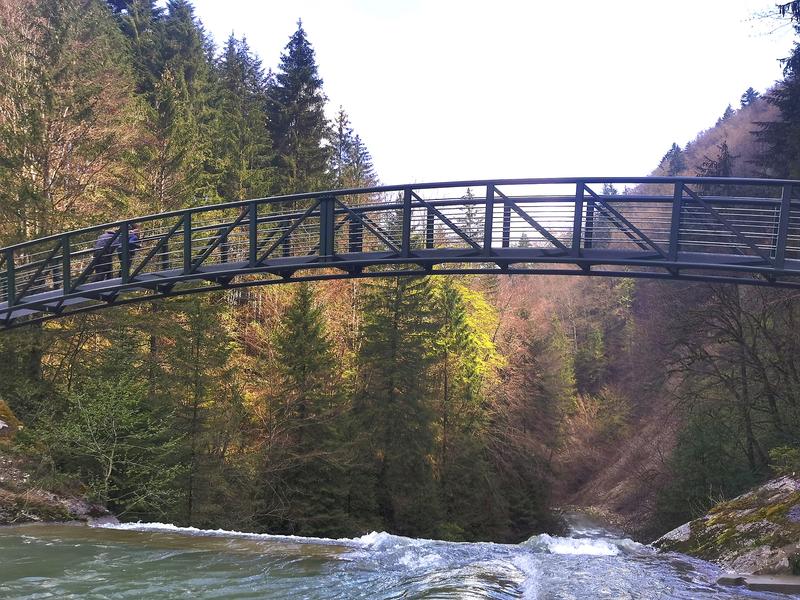 Parcours pêche, Le Brevon à Vailly_Vailly