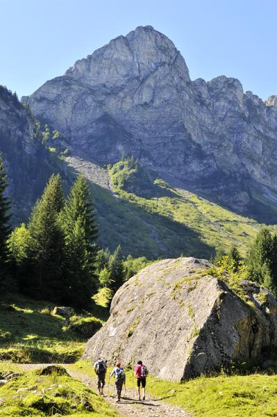 Tour de la Pointe d'Ardens