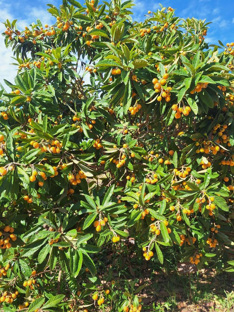 Mas des Figues, Saint-Rémy-de-Provence - photo 88
