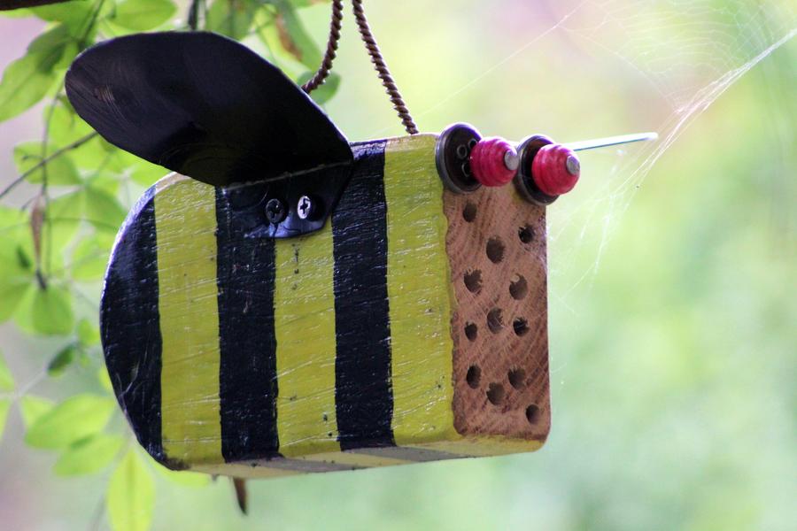 http://Atelier%20Un%20jardin%20pour%20les%20petites%20bêtes%20avec%20France%20Nature%20Environnement