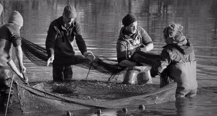 Pêche traditionnelle au filet_Saint-Just Saint-Rambert