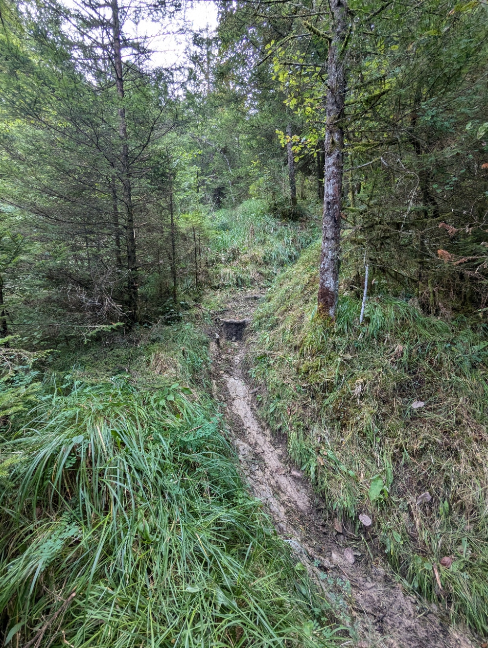 photosFeed-https://static.apidae-tourisme.com/filestore/objets-touristiques/images/58/167/25405242.jpg