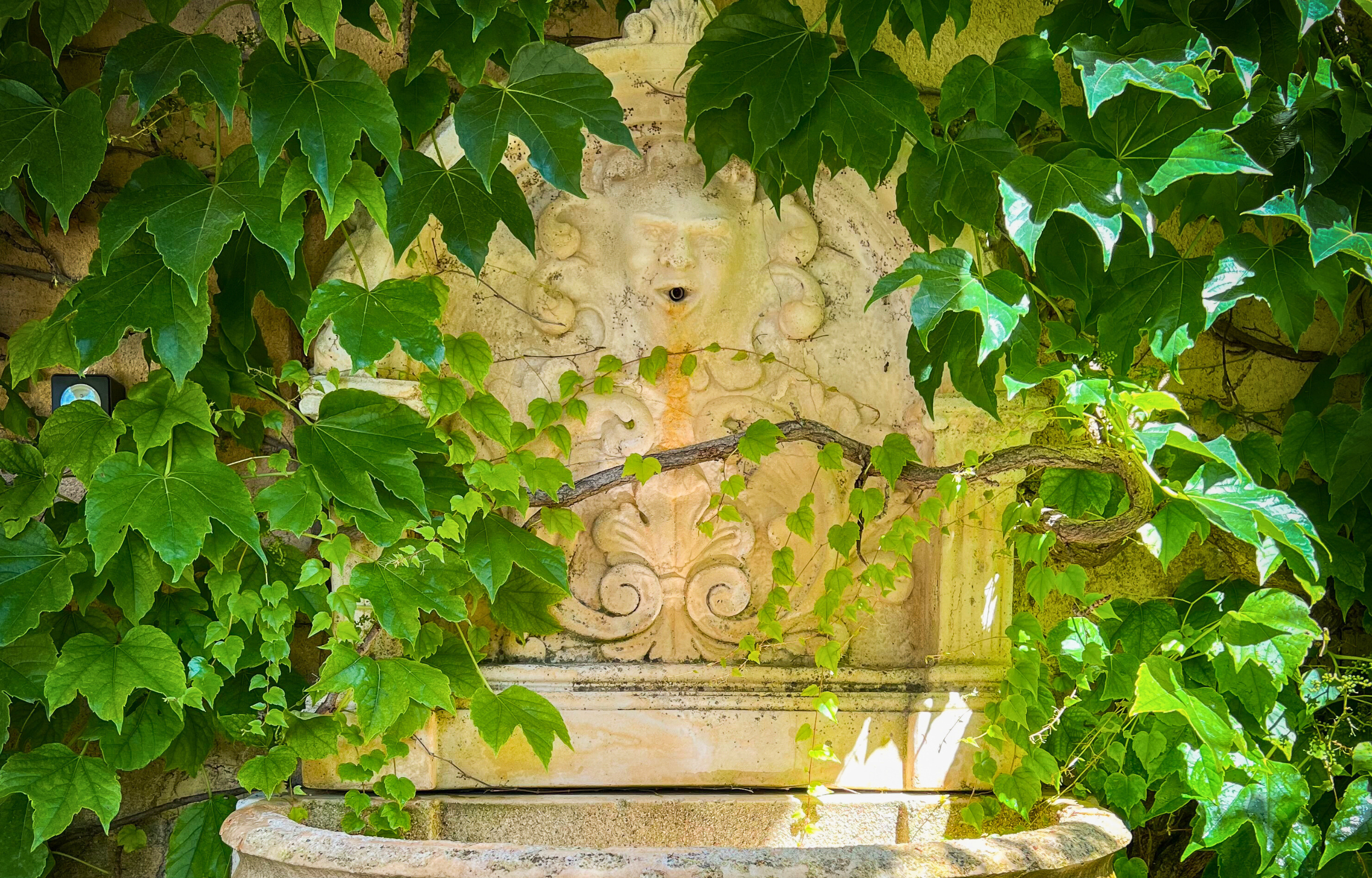 À la Source, Aix-en-Provence - photo 13