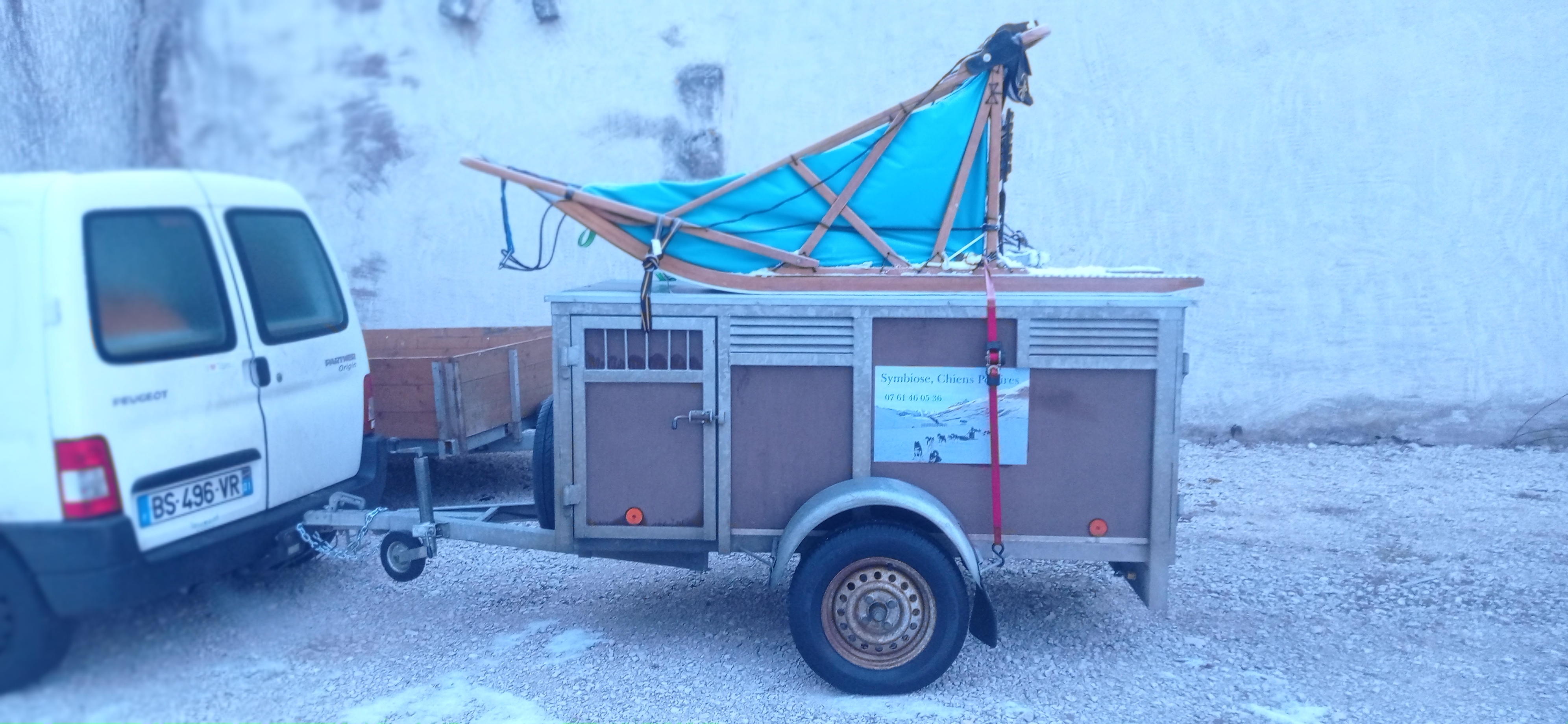 Bapt�me en tra�neau � chiens avec Symbiose chien polaire