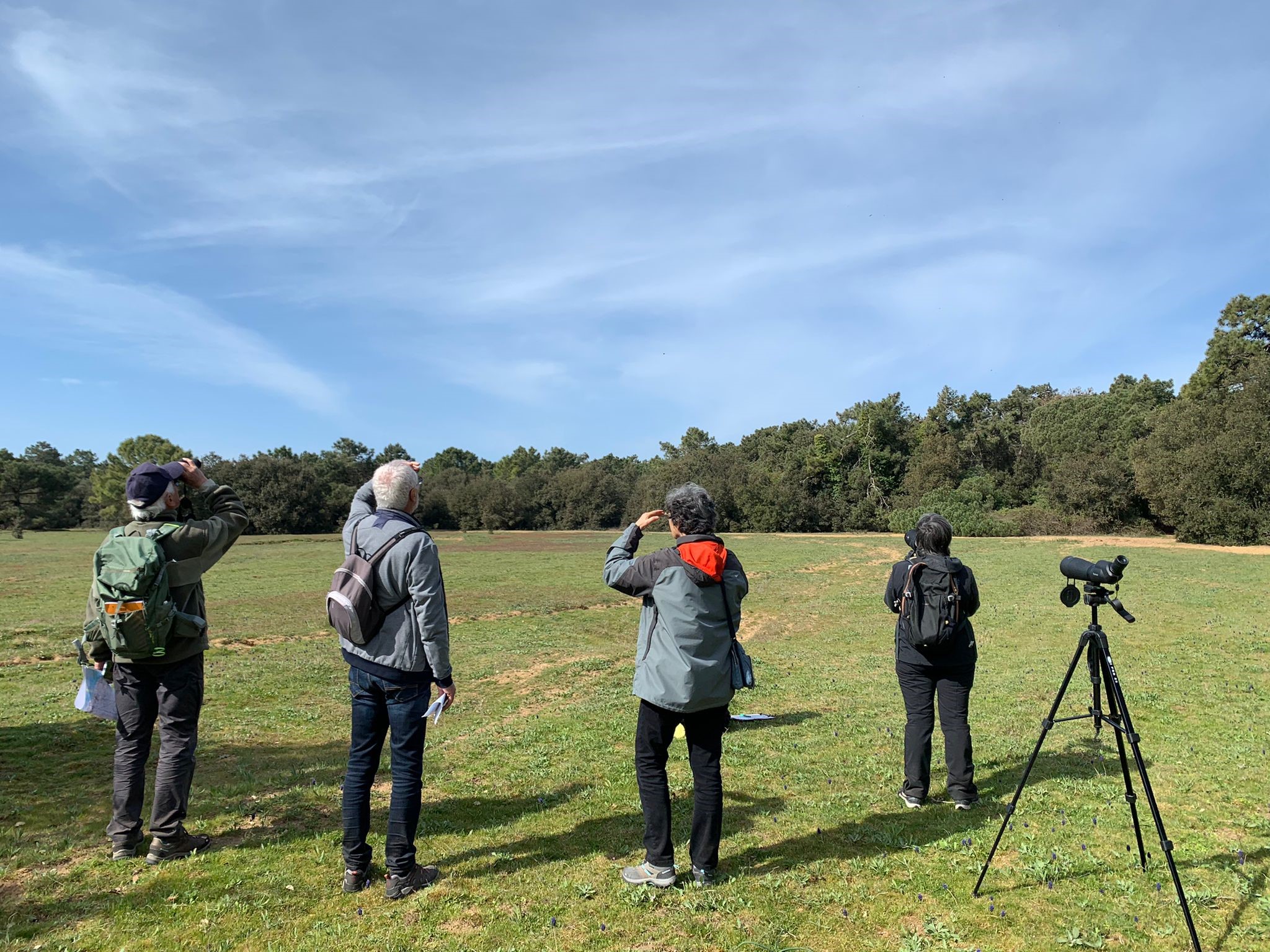 Sortie Echappées Nature "Le Bois des Evières"