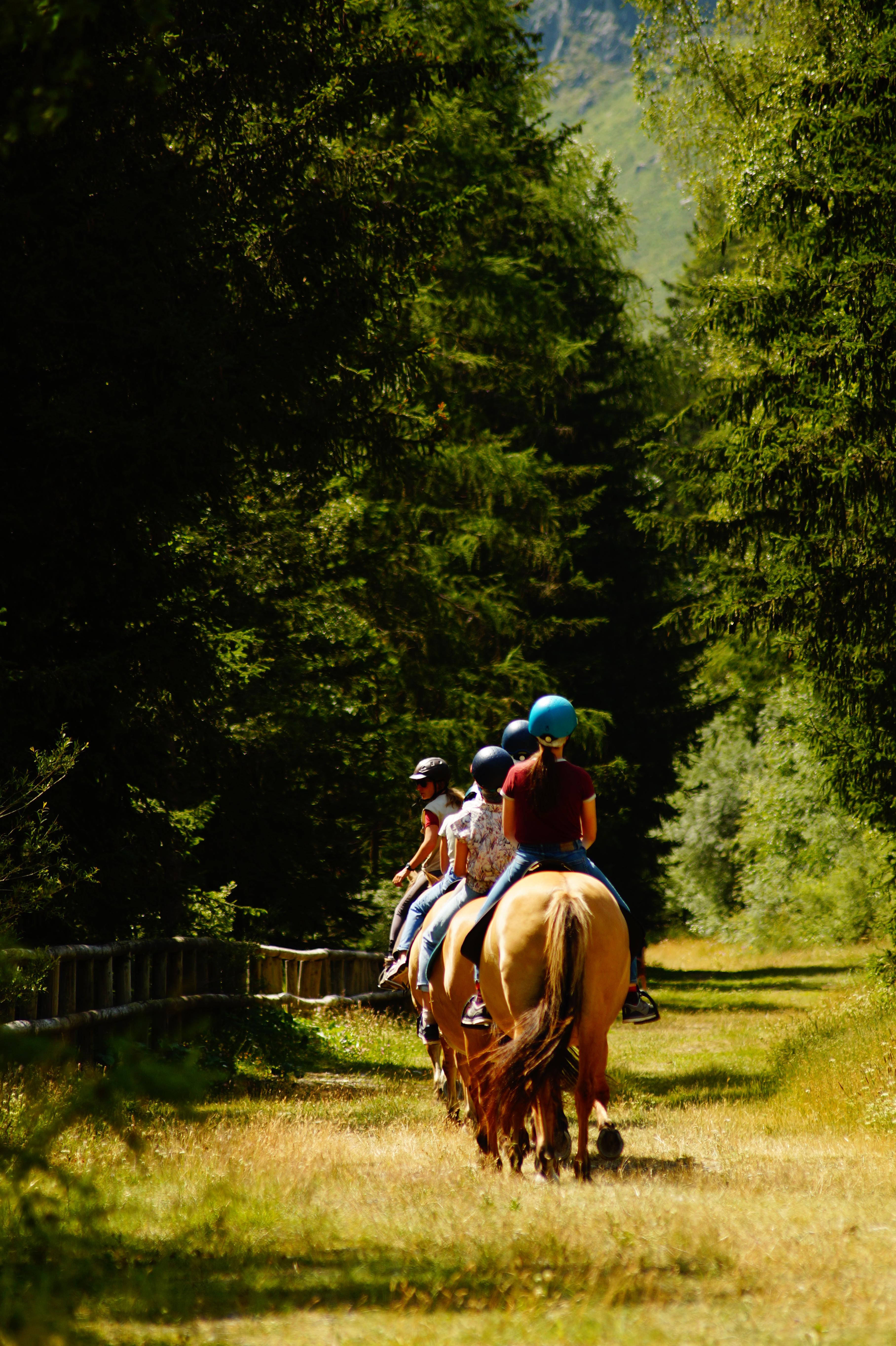 Le Chalet des Vignobles au P’tit Ranch | Explore Savoie - French Alps