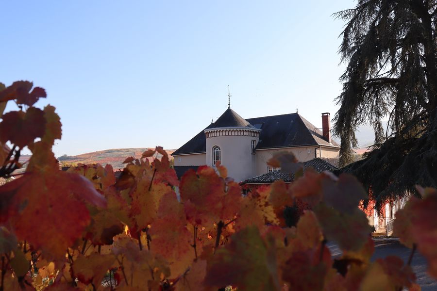 Le chateau des Loges au pied des vignes