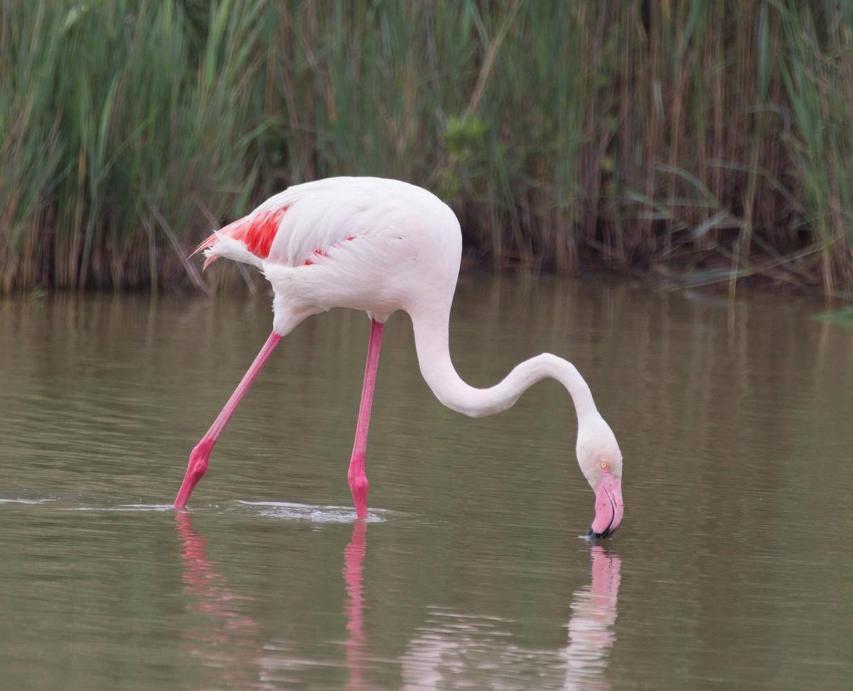 La Safranade, Roquevaire - photo 32