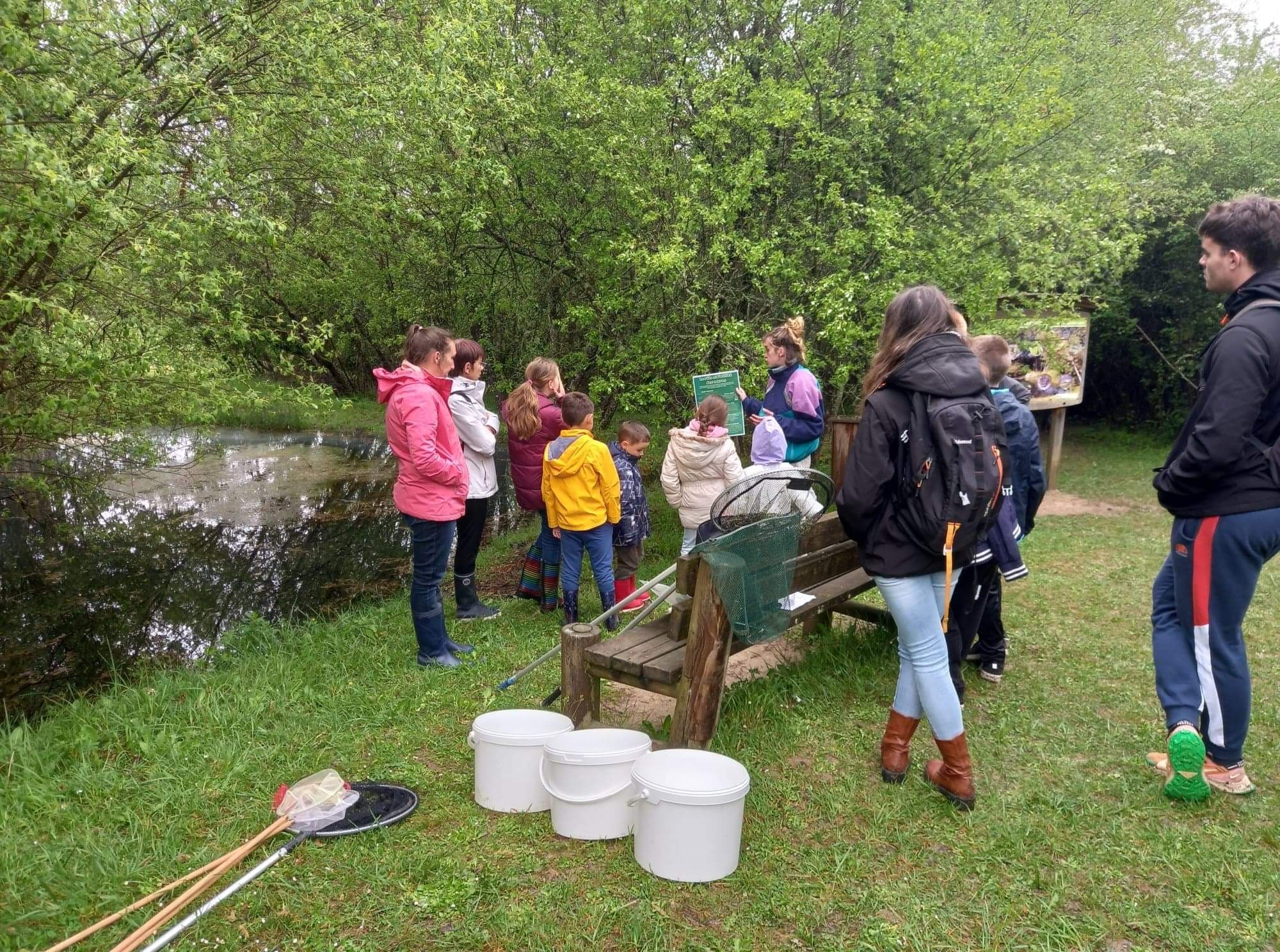 Sortie nature découverte de la mare