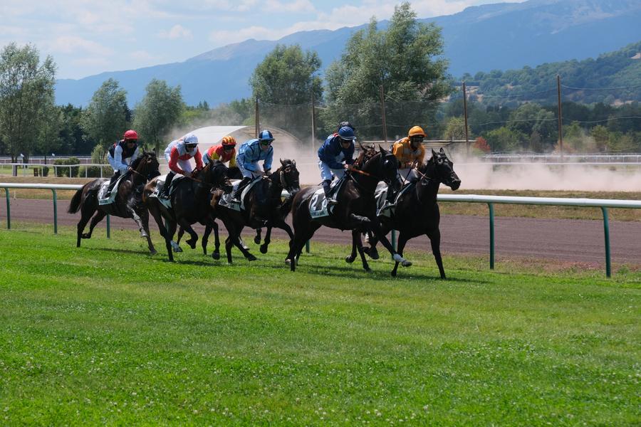 Courses de galop 2026 à l'hippodrome_Divonne-les-Bains