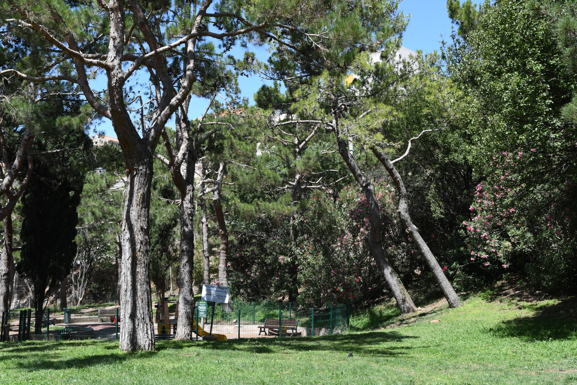 Jardin du Bois Sacré