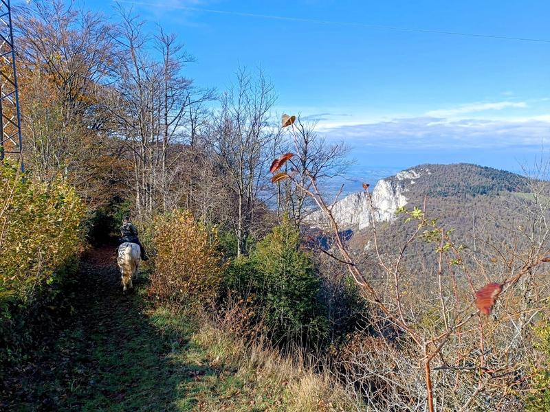 Tour des Coulmes à cheval - 2 jours_Presles