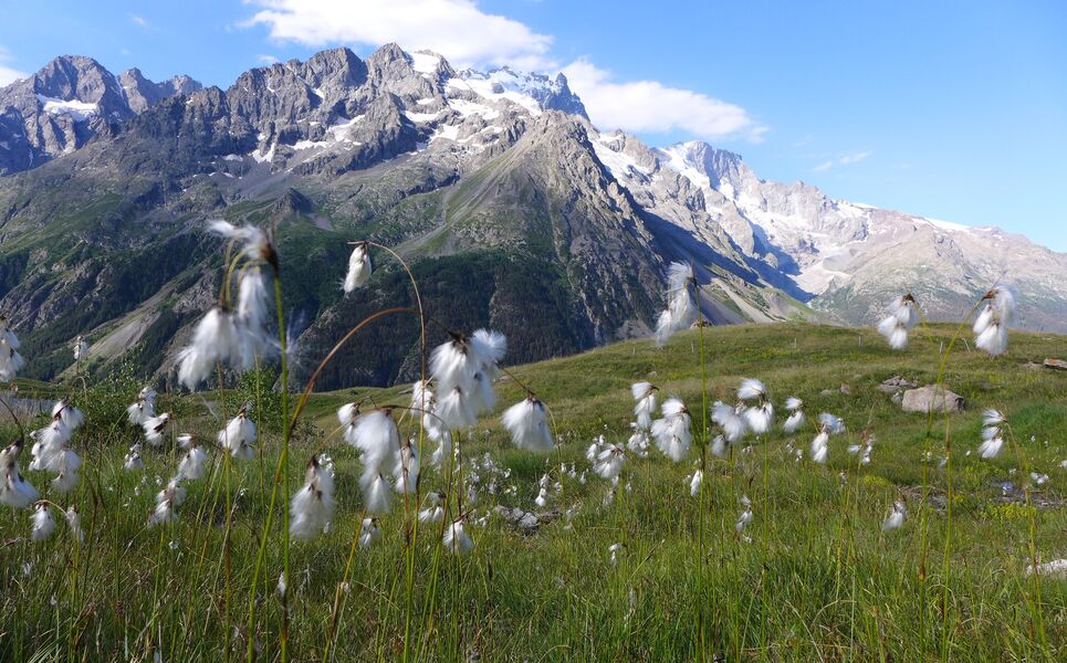 Bureau des guides de la Grave