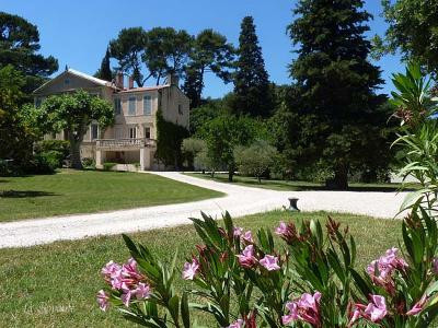 La Royante, Aubagne - photo 2