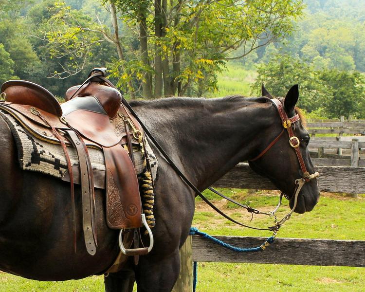 http://Balade%20à%20poney