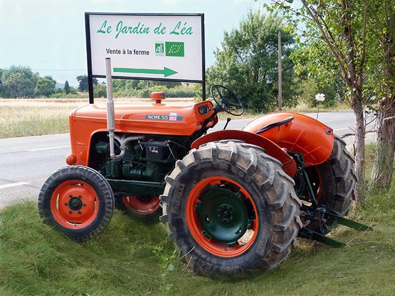 Le jardin de Léa — photo 3