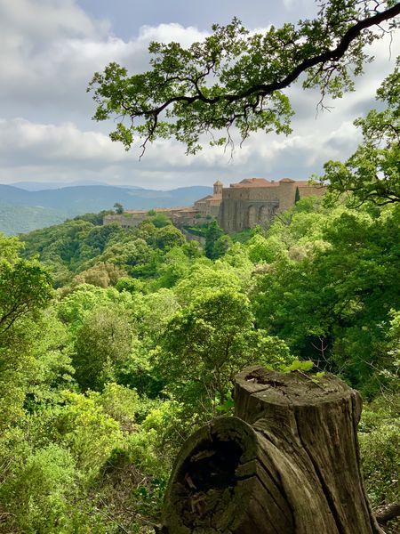 Parenthèse forestière à La Londe les Maures et à Collobrières