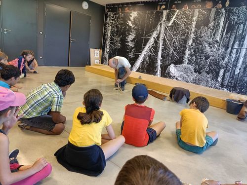 Académie des dragons