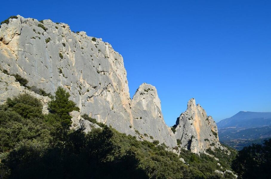 Chaînon